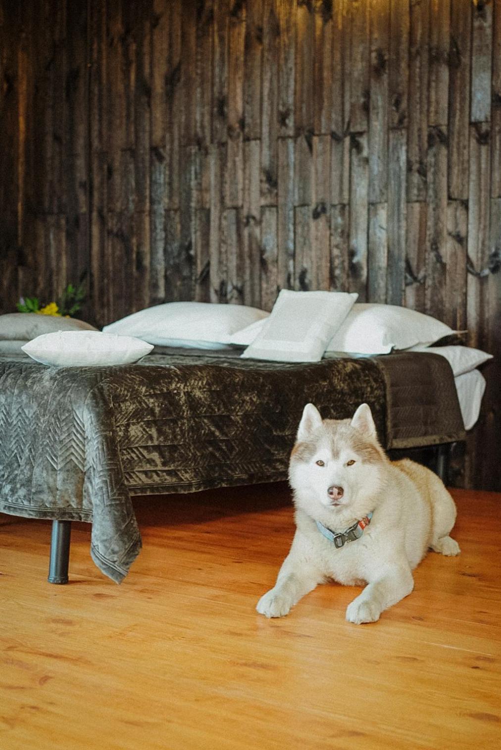 Hotel Долина Хюгге à Chornomors'ke  Extérieur photo